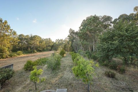 Haus in Arouca, Aveiro, Arouca - € 340.000 | Ref: 1012530/26 GL - Foto 34