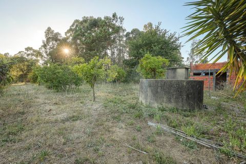 Haus in Arouca, Aveiro, Arouca - € 340.000 | Ref: 1012530/26 GL - Foto 35