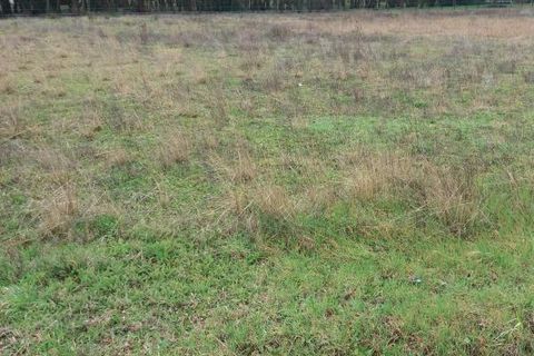 Helårsgrund i Bonnetan, Gironde, Bonnetan - € 130.000 | Ref: dg524445 - foto 1