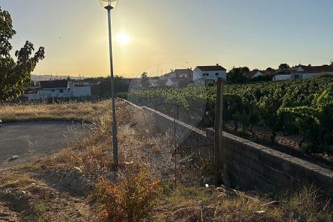 Helårsgrund i Palmela, Setubal, Palmela - € 110.000 | Ref: PE-123751392-48 - foto 3