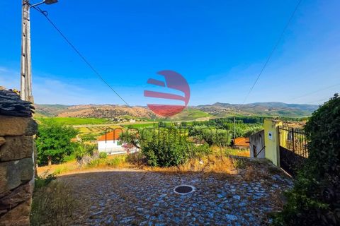 Villa i Longroiva, Guarda, Longroiva - € 8 000 | Ref: 546/MDA - foto 5