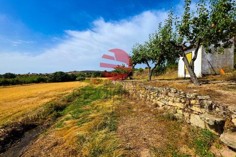 Tomt i Meda, Guarda, Meda - € 30 000 | Ref: 547/MDA - foto 3
