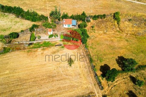 Tomt i Meda, Guarda, Meda - € 30 000 | Ref: 547/MDA - foto 4