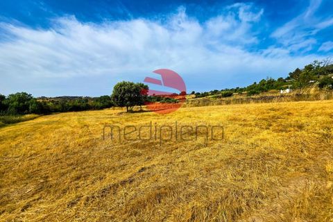 Tomt i Meda, Guarda, Meda - € 30 000 | Ref: 547/MDA - foto 5