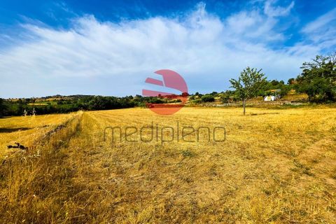 Tomt i Meda, Guarda, Meda - € 30 000 | Ref: 547/MDA - foto 6