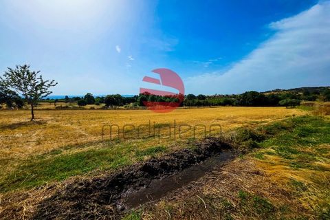 Tomt i Meda, Guarda, Meda - € 30 000 | Ref: 547/MDA - foto 7