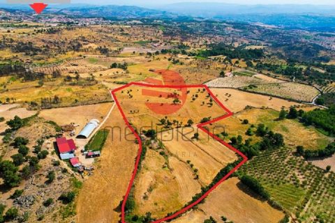 Tomt i Meda, Guarda, Meda - € 30 000 | Ref: 547/MDA - foto 11