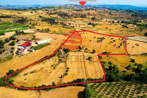 Tomt i Meda, Guarda, Meda - € 30 000 | Ref: 547/MDA - foto 12