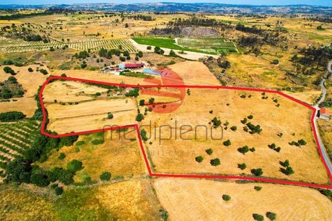 Tomt i Meda, Guarda, Meda - € 30 000 | Ref: 547/MDA - foto 13