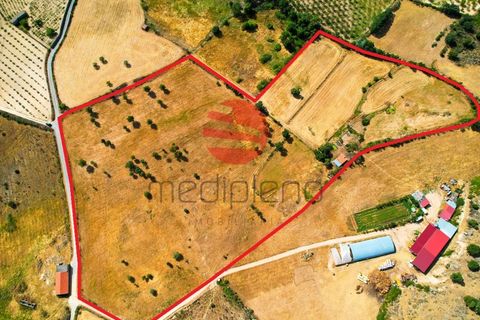 Tomt i Meda, Guarda, Meda - € 30 000 | Ref: 547/MDA - foto 14