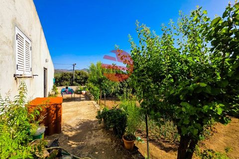 Villa i Longroiva, Guarda, Longroiva - € 80 000 | Ref: 545/MDA - foto 9