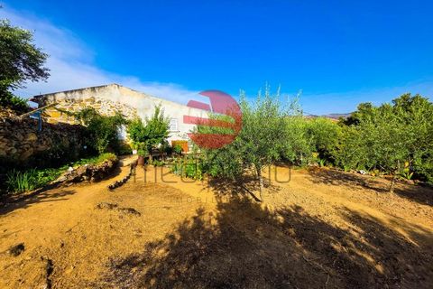 Villa i Longroiva, Guarda, Longroiva - € 80 000 | Ref: 545/MDA - foto 10