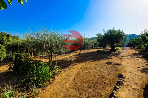 Villa i Longroiva, Guarda, Longroiva - € 80 000 | Ref: 545/MDA - foto 11