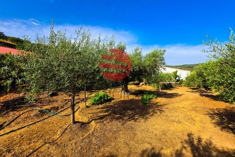 Villa i Longroiva, Guarda, Longroiva - € 80 000 | Ref: 545/MDA - foto 12