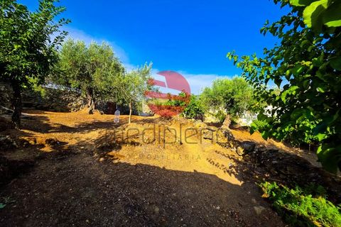 Villa i Longroiva, Guarda, Longroiva - € 80 000 | Ref: 545/MDA - foto 14