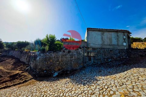 Villa i Longroiva, Guarda, Longroiva - € 80 000 | Ref: 545/MDA - foto 19