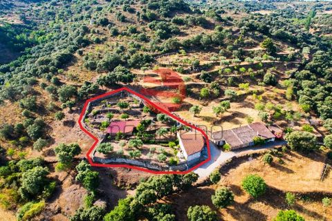 Villa i Longroiva, Guarda, Longroiva - € 80 000 | Ref: 545/MDA - foto 22