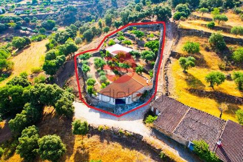 Villa i Longroiva, Guarda, Longroiva - € 80 000 | Ref: 545/MDA - foto 23