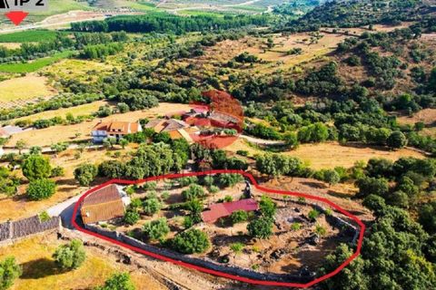 Villa i Longroiva, Guarda, Longroiva - € 80 000 | Ref: 545/MDA - foto 24