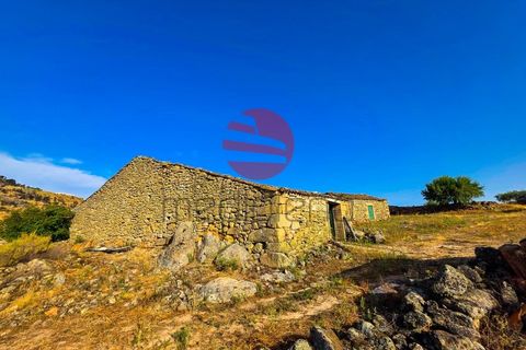 Grond in Marialva, Guarda, Marialva - € 85.000 | Ref: 544/MDA - foto 6