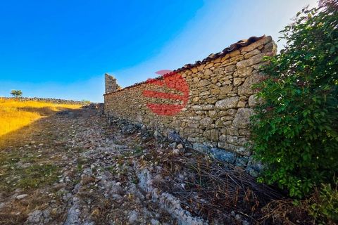 Grond in Marialva, Guarda, Marialva - € 85.000 | Ref: 544/MDA - foto 7