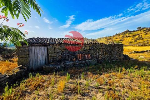 Grond in Marialva, Guarda, Marialva - € 85.000 | Ref: 544/MDA - foto 8