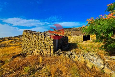 Grond in Marialva, Guarda, Marialva - € 85.000 | Ref: 544/MDA - foto 9
