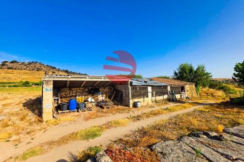 Grond in Marialva, Guarda, Marialva - € 85.000 | Ref: 544/MDA - foto 10