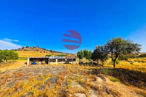 Grond in Marialva, Guarda, Marialva - € 85.000 | Ref: 544/MDA - foto 11