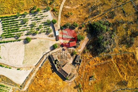 Grond in Marialva, Guarda, Marialva - € 85.000 | Ref: 544/MDA - foto 14