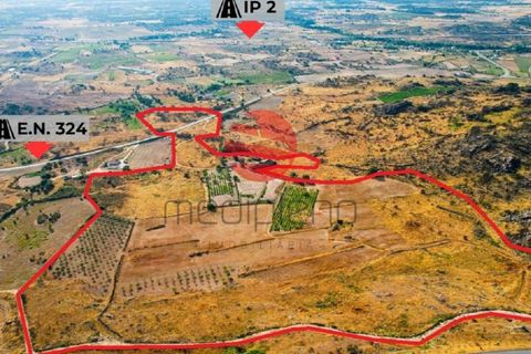 Grond in Marialva, Guarda, Marialva - € 85.000 | Ref: 544/MDA - foto 15