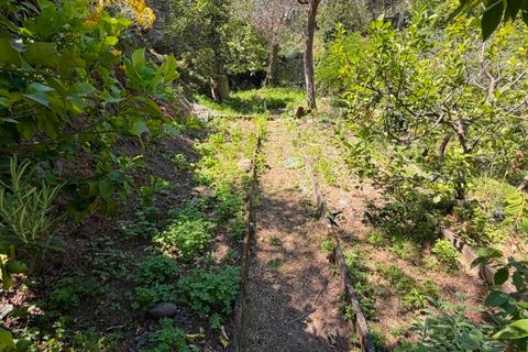 Byhus i Luni, La Spezia, Luni - € 189.000 | Ref: 108002 - foto 27