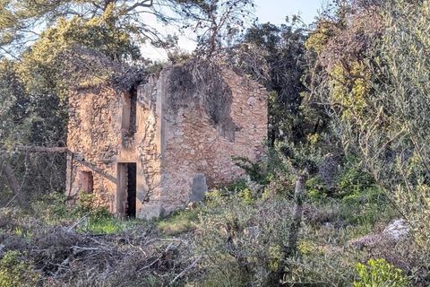 Helårsgrund i Carcès, Var, Carcès - € 88.000 | Ref: 3653 - foto 2