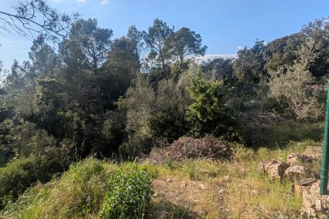 Helårsgrund i Carcès, Var, Carcès - € 88.000 | Ref: 3653 - foto 4