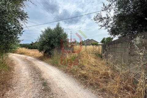 Villa i Ourem, Santarem, Ourem - € 349.000 | Ref: 1375 - foto 15