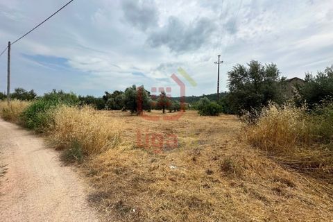 Villa i Ourem, Santarem, Ourem - € 349.000 | Ref: 1375 - foto 16