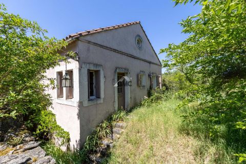 Landejendom i Sainte-Eulalie-de-Cernon, Aveyron, Sainte-Eulalie-de-Cernon - € 169.000 | Ref: 34735759 - foto 8
