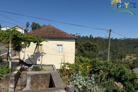 Gård i Serta, Castelo Branco, Serta - € 175 000 | Ref: MG177 - foto 2