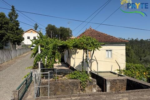 Gård i Serta, Castelo Branco, Serta - € 175 000 | Ref: MG177 - foto 3