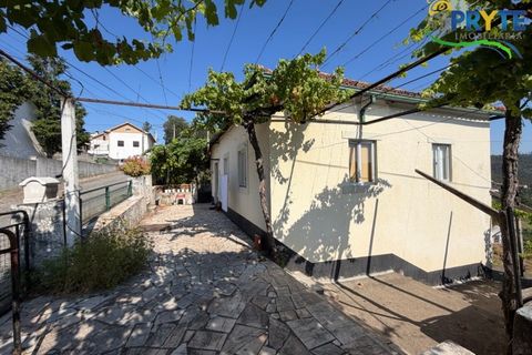 Gård i Serta, Castelo Branco, Serta - € 175 000 | Ref: MG177 - foto 4