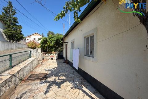 Gård i Serta, Castelo Branco, Serta - € 175 000 | Ref: MG177 - foto 5