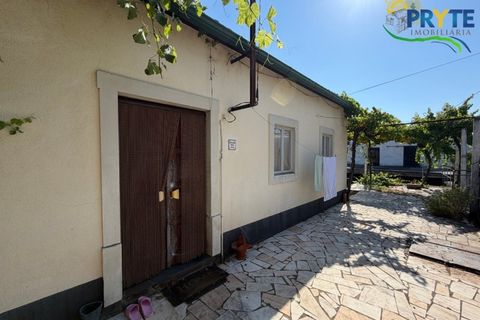 Gård i Serta, Castelo Branco, Serta - € 175 000 | Ref: MG177 - foto 6