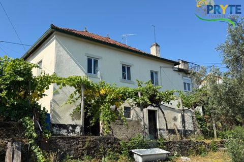 Gård i Serta, Castelo Branco, Serta - € 175 000 | Ref: MG177 - foto 7