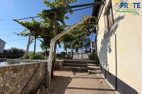 Gård i Serta, Castelo Branco, Serta - € 175 000 | Ref: MG177 - foto 26