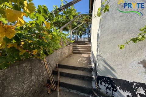 Gård i Serta, Castelo Branco, Serta - € 175 000 | Ref: MG177 - foto 27