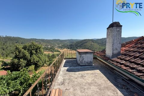 Gård i Serta, Castelo Branco, Serta - € 175 000 | Ref: MG177 - foto 30