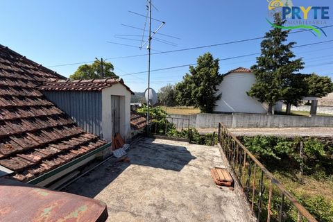Gård i Serta, Castelo Branco, Serta - € 175 000 | Ref: MG177 - foto 31