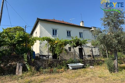 Gård i Serta, Castelo Branco, Serta - € 175 000 | Ref: MG177 - foto 32
