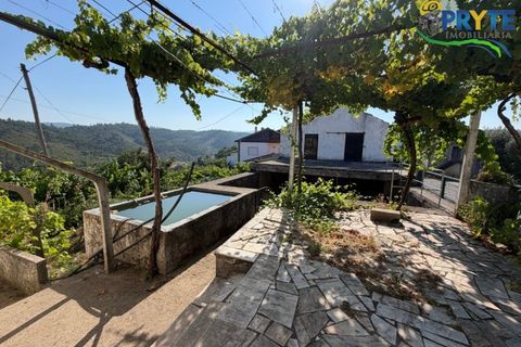 Gård i Serta, Castelo Branco, Serta - € 175 000 | Ref: MG177 - foto 33