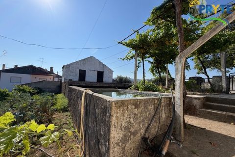 Gård i Serta, Castelo Branco, Serta - € 175 000 | Ref: MG177 - foto 34